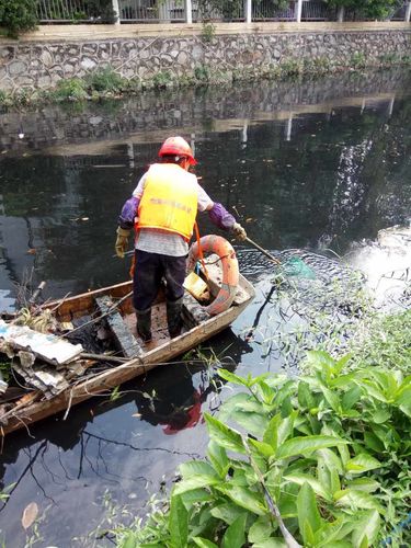 大龍街河涌保潔隊工作動態 守護碧水清流，共建美麗家園