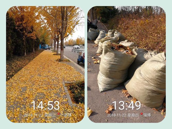 淄博分公司 加強保潔力度，全面做好迎檢工作